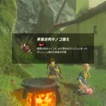 【ネタ】ティアキンでこんな事出来たら面白そうwww