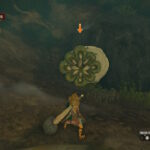 【質問】ライクライク糞敵すぎる...爆弾使わずに弱点パカ―させること出来ない???